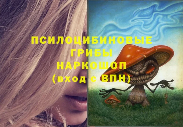 тгк Беломорск